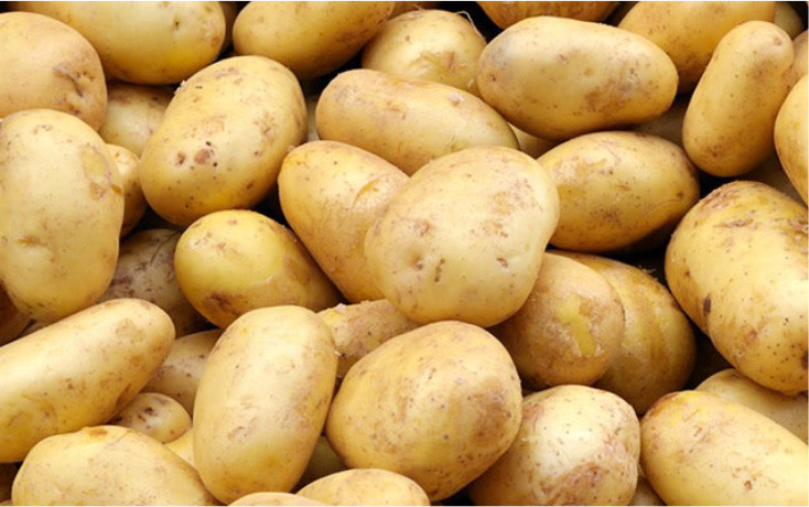 Aardappelen Alliance