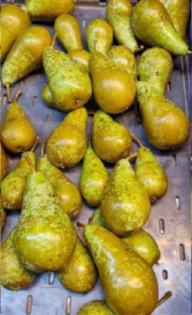 Peren geen ruwwing