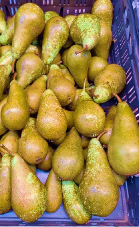 Peren lichte ruwwing